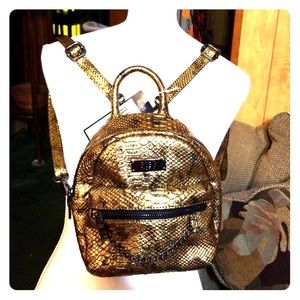 BCBG back pack